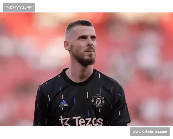 从曼联到佛罗伦萨:德赫亚的职业重生之路 从曼联到佛罗伦萨:德赫亚的职业重生之路